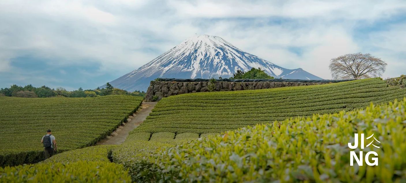 JING Tea | Viacsystémový manažérsky reporting naprieč úplnou výmenou technologického stacku